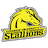 Averheim University Stallions